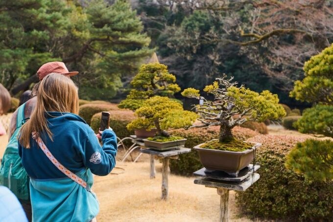 Tokyo: Meiji Shrine Historical Tour by Japanese Guide - Shinto: Japans Ancient Religion