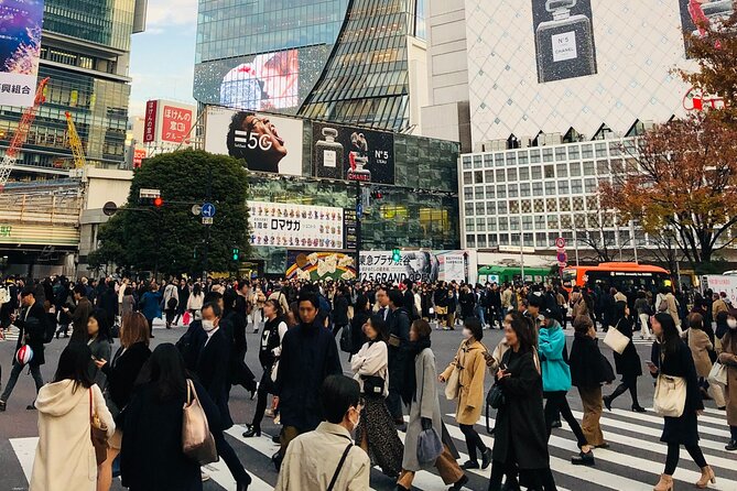 Tokyo Morning Half Day City Tour With Hotel Pick-Up by Gray Line - Tour Overview