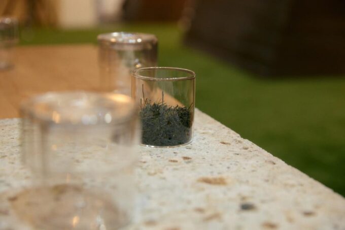 Tokyo: Morning Japanese Tea & Meditation Experience - Savoring the Teas