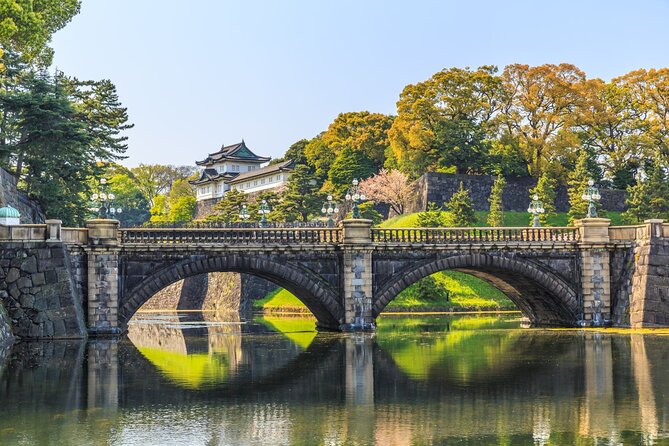 Tokyo Morning Small Group Tour - Included Services