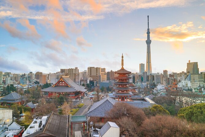 Tokyo Morning Small Group Tour - Payment Options