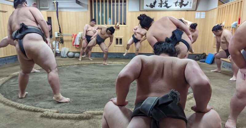 Tokyo: Morning Sumo Practice Viewing - Key Points