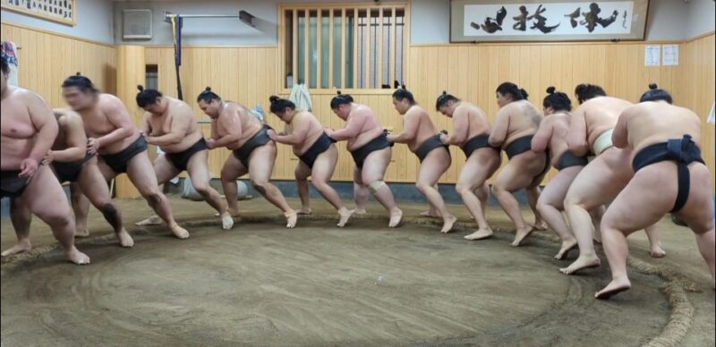 Tokyo: Morning Sumo Practice Viewing - Immersive Cultural Insights