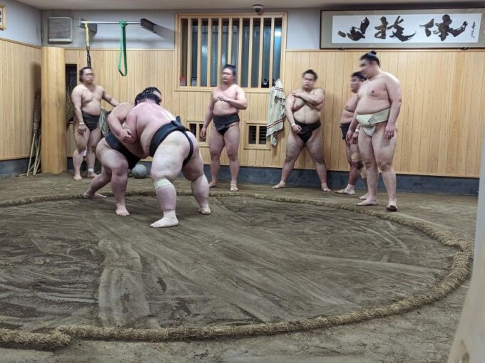 Tokyo: Morning Sumo Practice Viewing - Positive Customer Feedback