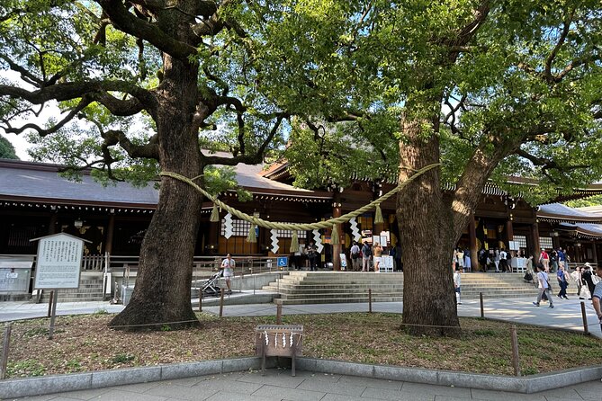 Tokyo Morning Tour: Asakusa, Meiji Shrine and Tsukiji Fish Market - Maximum of 8 Travelers