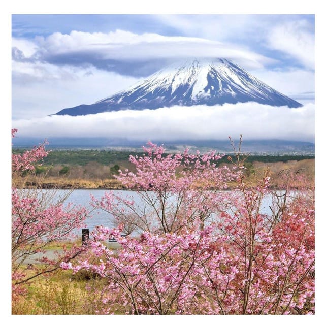 Tokyo: Mount Fuji & 5 Lakes Private Day Tour In Luxury Prado - Visiting Chureito Pagoda