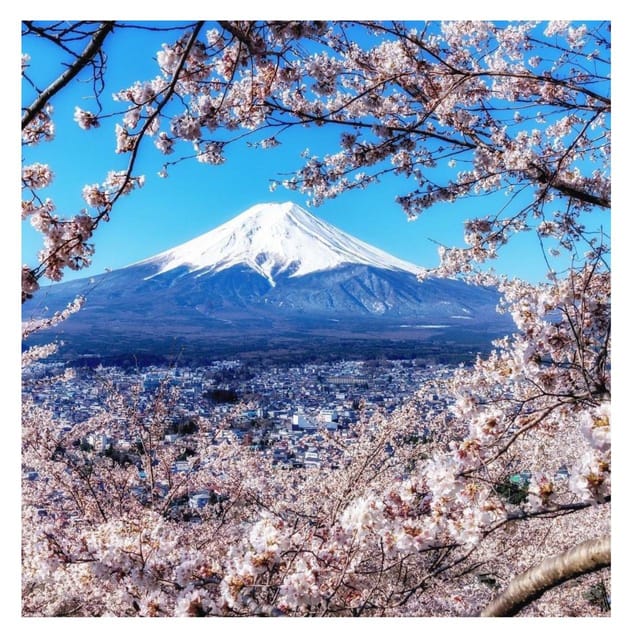 Tokyo: Mount Fuji & 5 Lakes Private Day Tour In Luxury Prado - Enjoying Lake Ashi