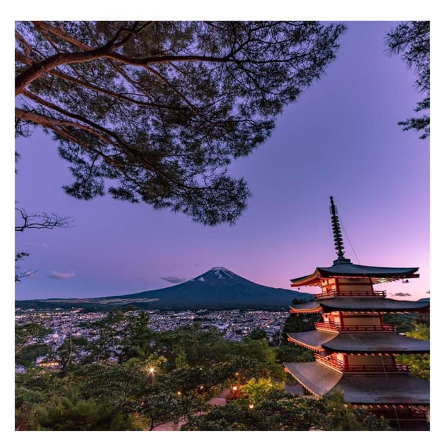 Tokyo: Mount Fuji & 5 Lakes Private Day Tour In Luxury Prado - Transportation and Logistics