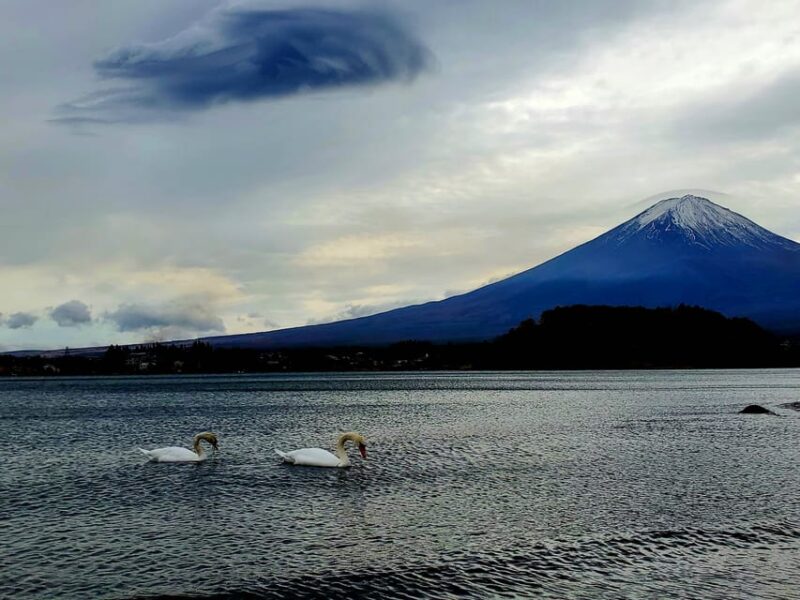 Tokyo, Mount Fuji and Hakone 3 Days Tour - Key Points
