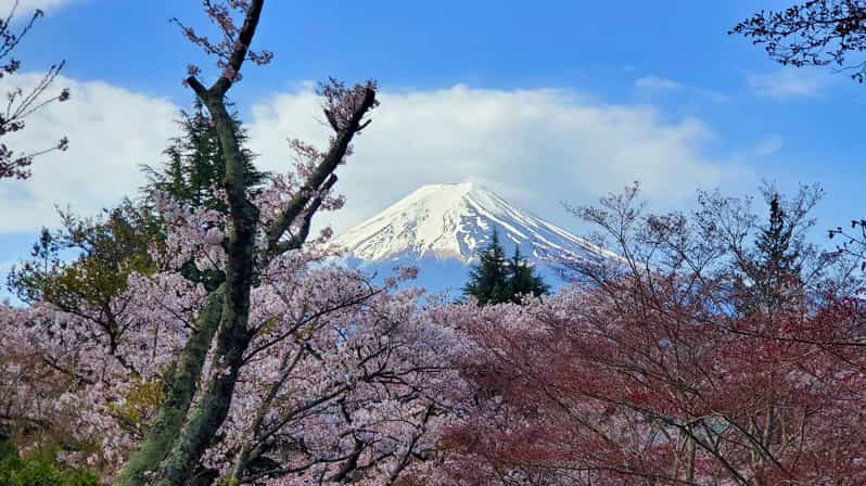 Tokyo, Mount Fuji and Hakone 3 Days Tour - Marveling at Mount Fuji