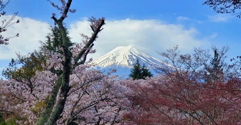 Tokyo, Mount Fuji and Hakone 3 Days Tour - Cruising Lake Ashinoko in Hakone