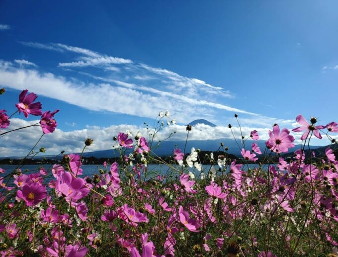 Tokyo, Mount Fuji and Hakone 3 Days Tour - Inclusions, Exclusions, and Pricing