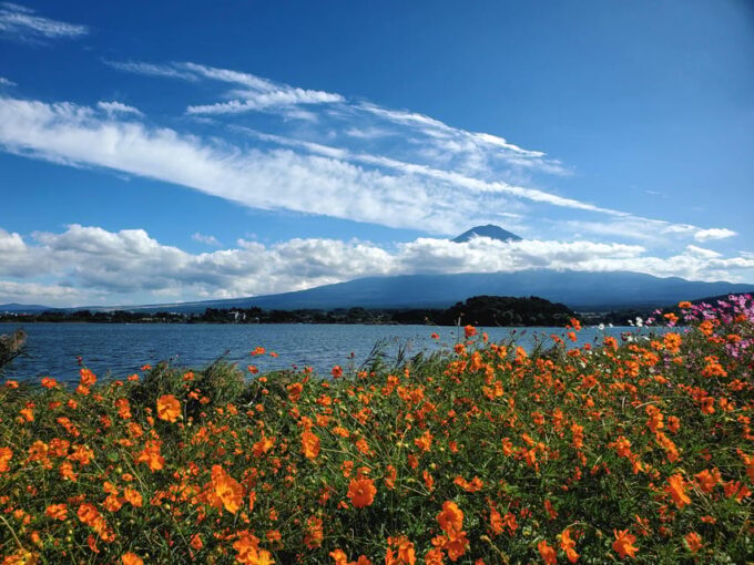 Tokyo, Mount Fuji and Hakone 3 Days Tour - Frequently Asked Questions