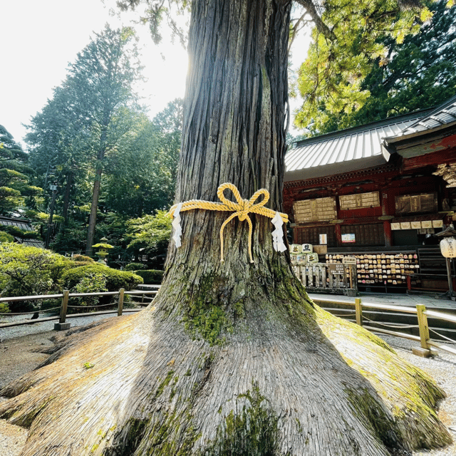 Tokyo: Mount Fuji and Hakone Private Flexible Tour - Shopping Opportunity