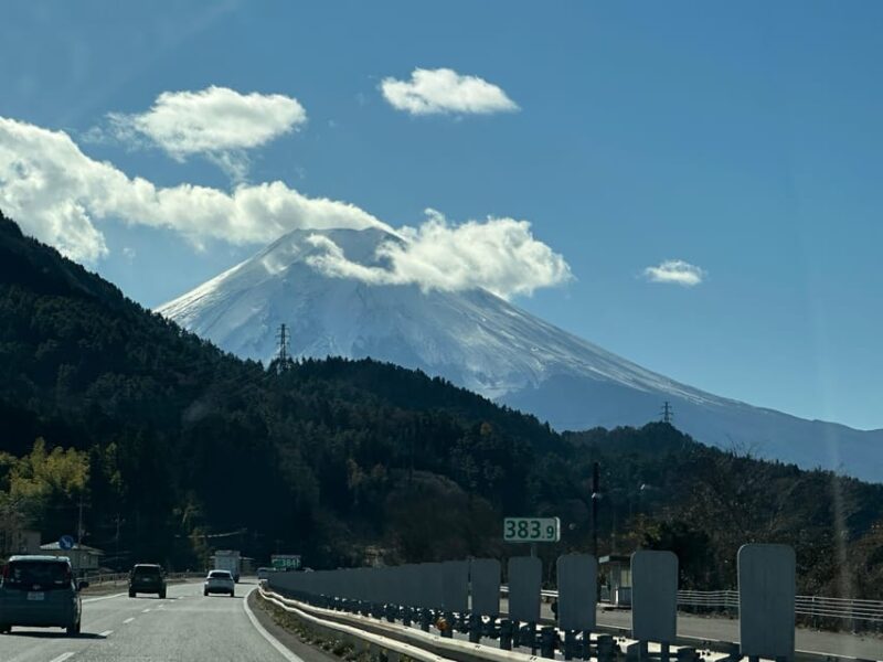 Tokyo: Mount Fuji and Hakone Private Sightseeing Day Tour - Tour Features and Inclusions