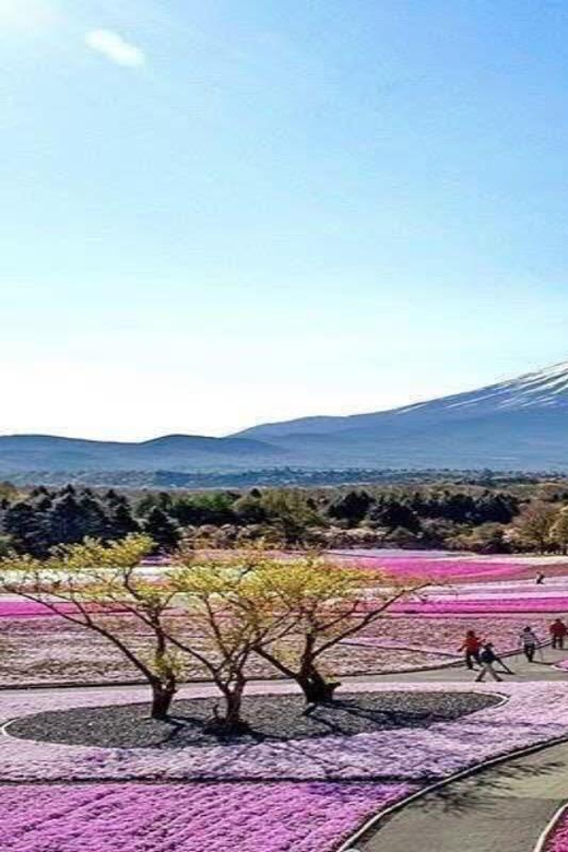 Tokyo: Mount Fuji and Hakone Private Sightseeing Day Tour - Key Attractions