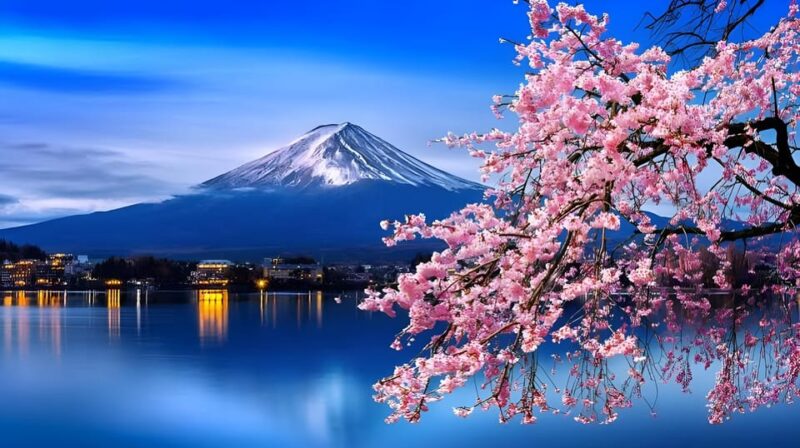 Tokyo: Mount Fuji and Hakone Private Sightseeing Tour - Itinerary A: Mount Fuji Experience