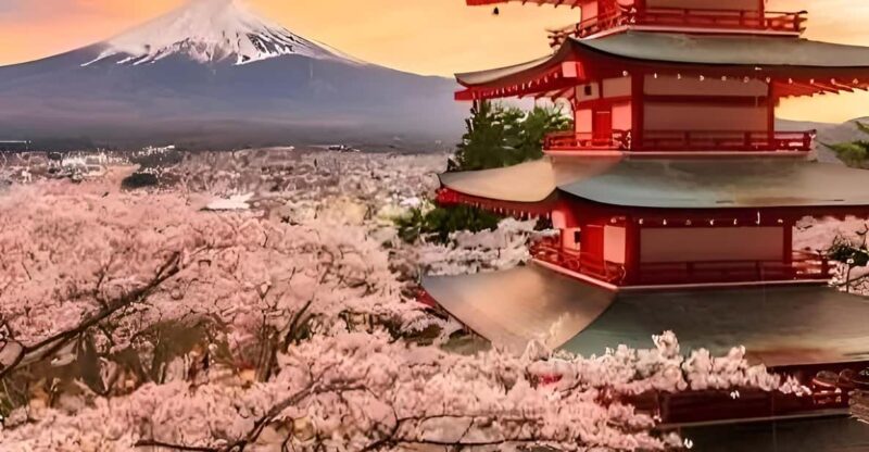Tokyo: Mount Fuji and Hakone Private Sightseeing Tour - Itinerary B: Hakone Serenity