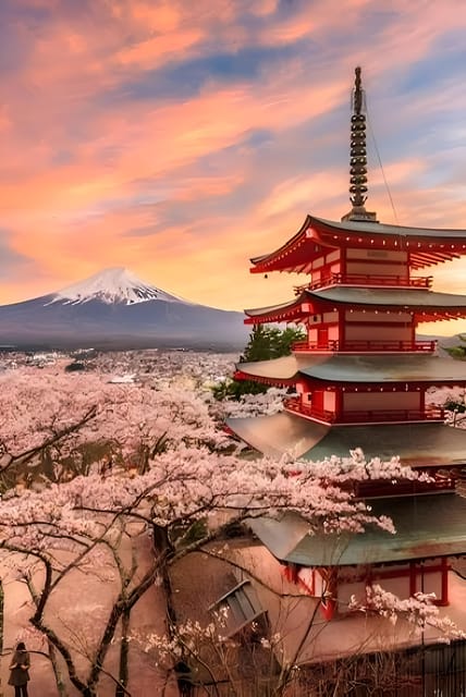 Tokyo: Mount Fuji and Hakone Private Sightseeing Tour - Customer Experience
