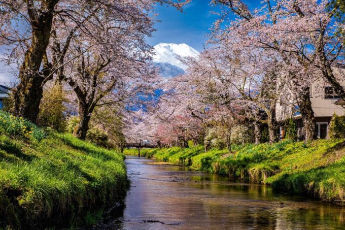 Tokyo: Mount Fuji, Arakurayama Sengen Park, Oshino Hakkai Tour - Highlights of the Tour