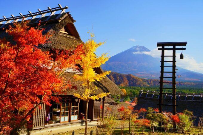 Tokyo: Mount Fuji, Arakurayama Sengen Park, Oshino Hakkai Tour - Frequently Asked Questions