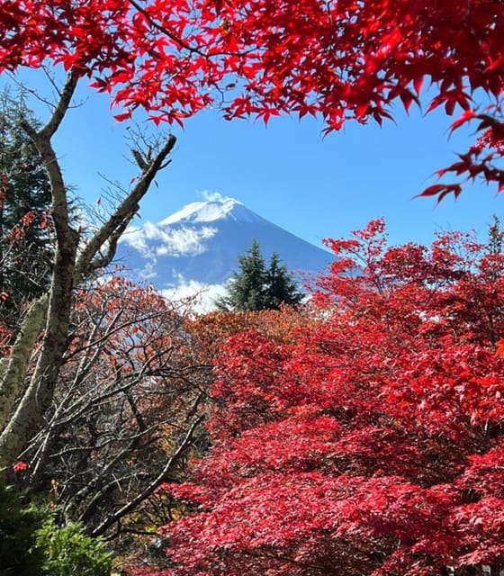 Tokyo: Mount Fuji Day Trip With Pagoda and Lake Cruise - Transportation and Accessibility