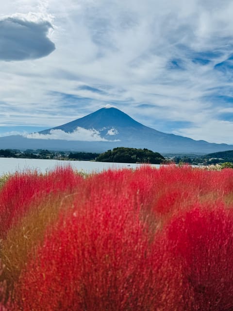 Tokyo: Mount Fuji Day Trip With Pagoda and Lake Cruise - Discover Oshino Hakkai and Lake Kawaguchi