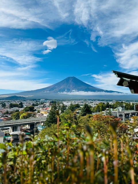 Tokyo: Mount Fuji Day Trip With Pagoda and Lake Cruise - FAQ