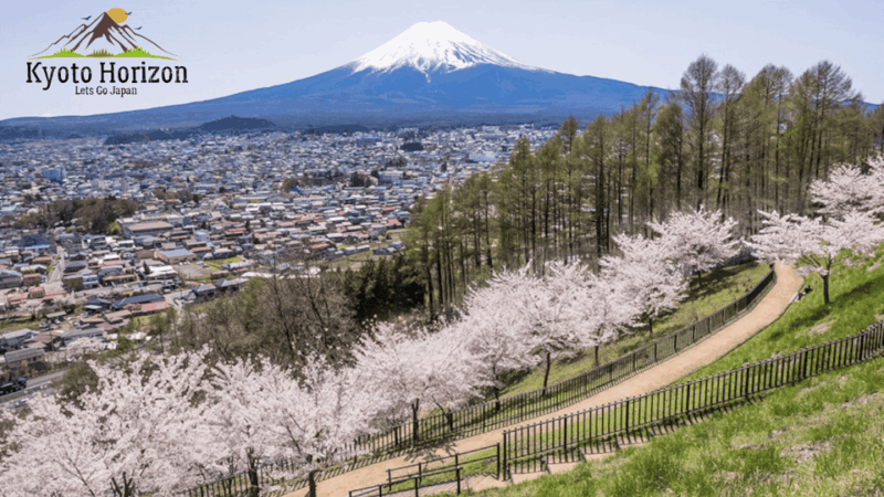 Tokyo: Mount Fuji Five Lakes Hakone Ropeway Guided Day Trip - Key Attractions