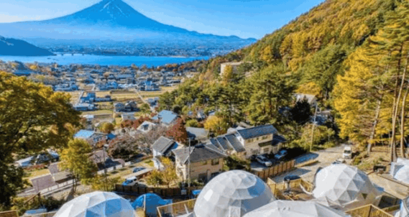 Tokyo Mount Fuji Full Day Customize Private Tour By Alphard - Experience Highlights