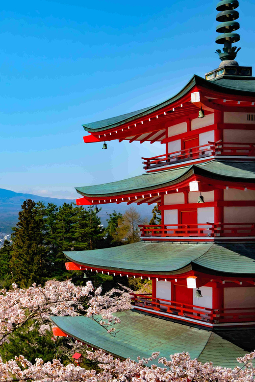 Tokyo Mount Fuji Full Day Customize Private Tour By Alphard - Important Information
