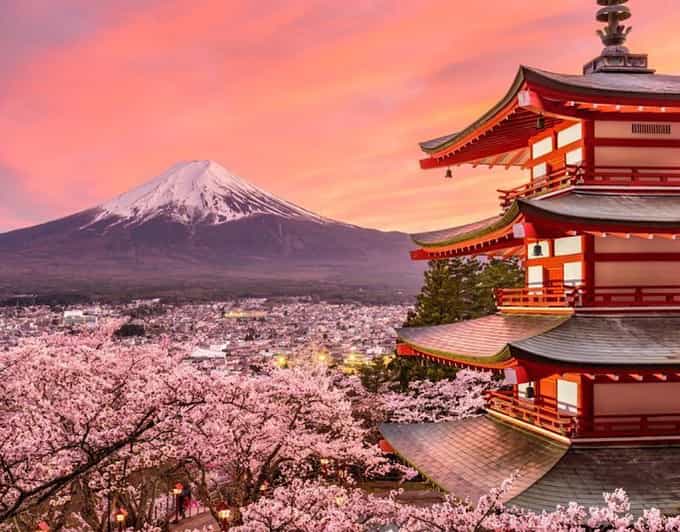 Tokyo: Mount Fuji Full Day Private Sightseeing Guided Tour - Subaru 5th Station