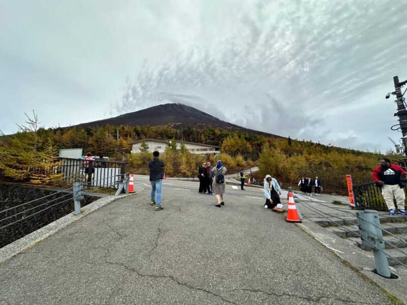 Tokyo: Mount Fuji Full Day Trip With English Speaking Driver - Scenic Experiences