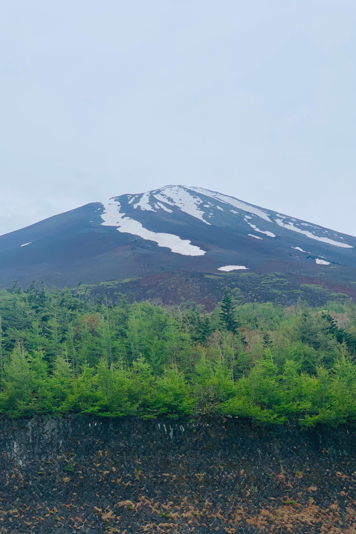 Tokyo: Mount Fuji & Hakone Customized English Guided Trip - Itinerary Overview