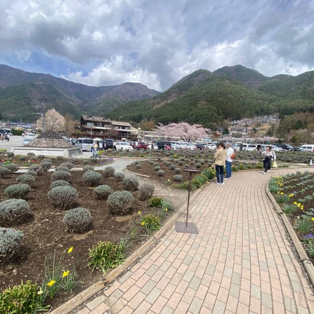 Tokyo: Mount Fuji & Hakone Private Car Day Tour Lowest Price - Transportation and Amenities