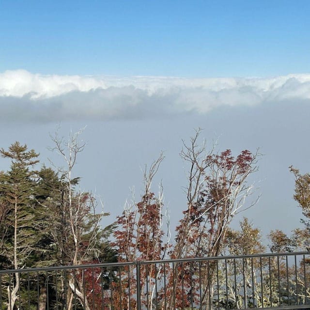 Tokyo: Mount Fuji & Hakone Private Car Day Tour Lowest Price - Explore the Best of Tokyo and Hakone