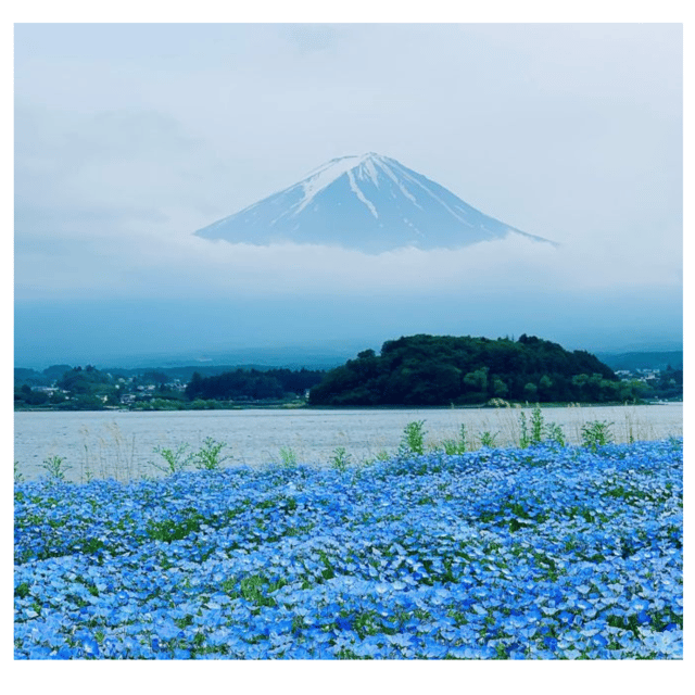 Tokyo: Mount Fuji & Hakone Private Car Day Tour Lowest Price - Why Choose This Private Tour?