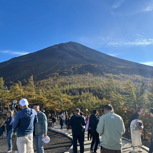 Tokyo: Mount Fuji & Hakone Private Car Day Tour Lowest Price - FAQ