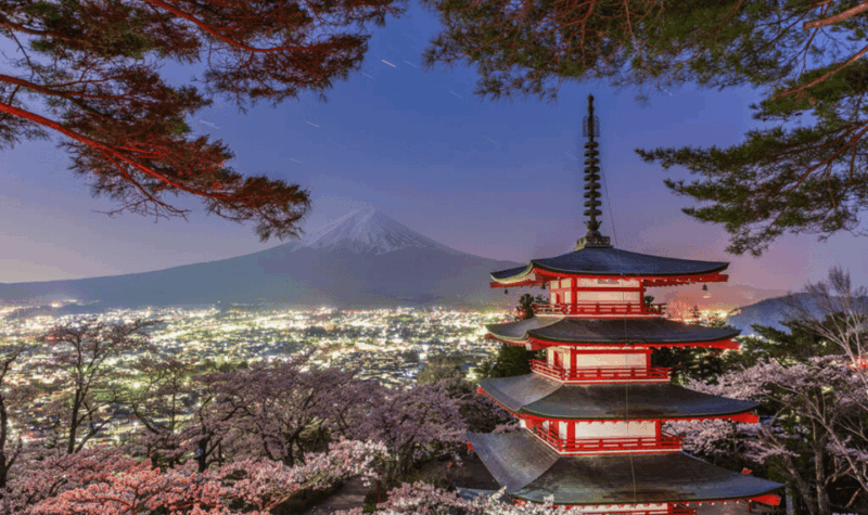 Tokyo: Mount Fuji & Hakone Private Customizable Day Tour - Transportation and Guide