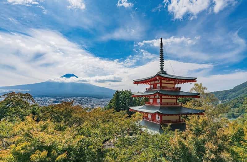 Tokyo: Mount Fuji & Hakone Private Customized Full Day Tour - Transportation and Accessibility