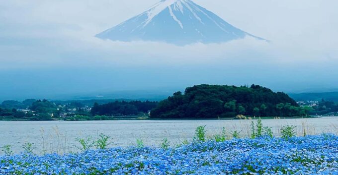 Tokyo: Mount Fuji & Hakone Private Customized Guided Trip - FAQ