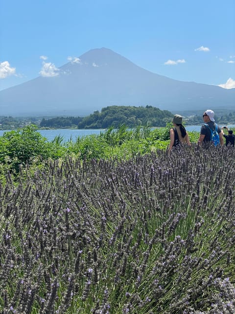 Tokyo: Mount Fuji & Hakone Private Day Tour - Itinerary Highlights
