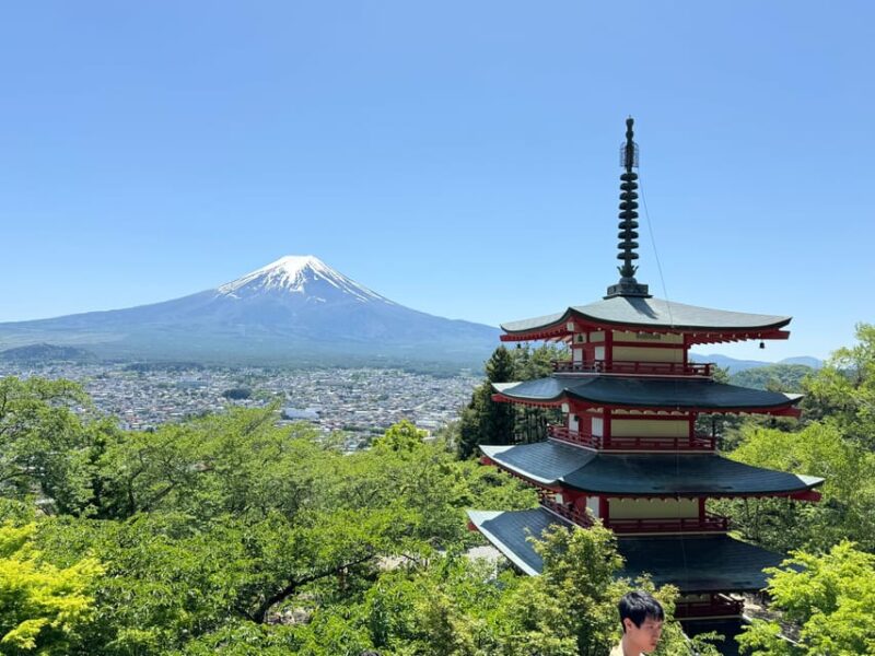 Tokyo: Mount Fuji & Hakone Private Day Tour - Exploring Arakurayama Sengen Park