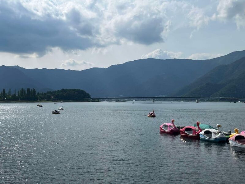Tokyo: Mount Fuji & Hakone Private Tour - Inclusions