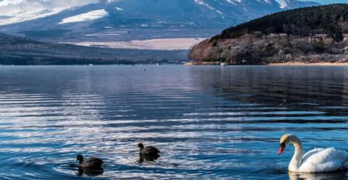 Tokyo: Mount Fuji & Hakone Tour By English Speaking Guide - Frequently Asked Questions