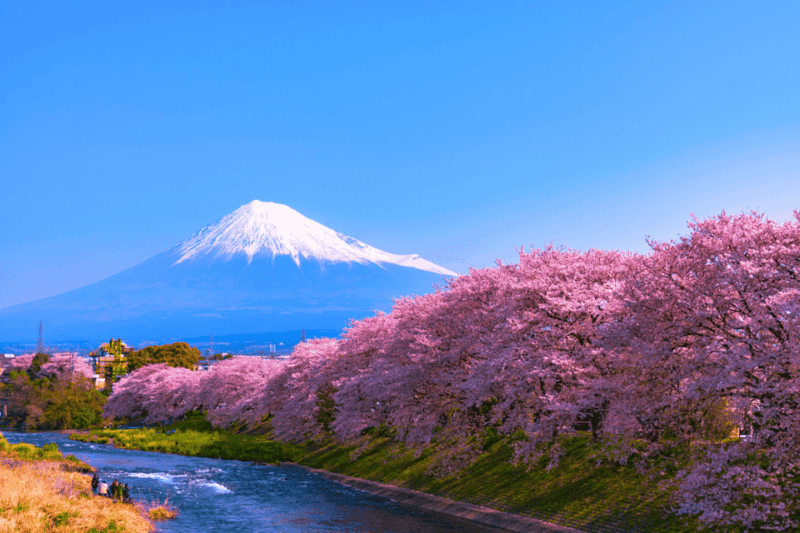 Tokyo: Mount Fuji Highlights Tour With Boat Cruise & Ropeway - Itinerary and Activities