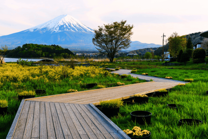 Tokyo: Mount Fuji Highlights Tour With Boat Cruise & Ropeway - Panoramic Views From the Ropeway