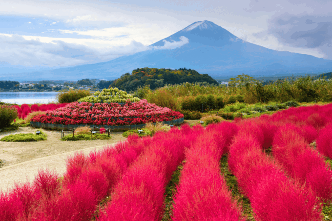 Tokyo: Mount Fuji Highlights Tour With Boat Cruise & Ropeway - FAQ