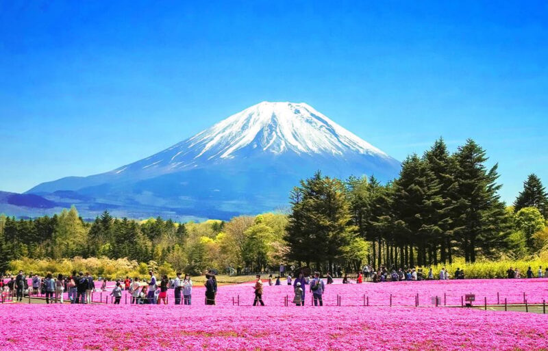 Tokyo: Mount Fuji, Kawaguchi Lake, Oshino Hakkai 1-Day Trip - Key Points