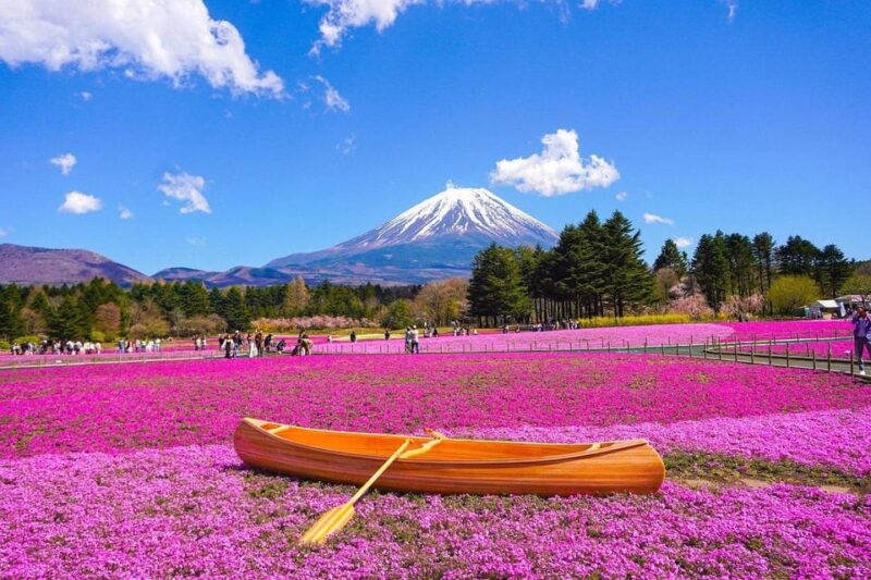 Tokyo: Mount Fuji, Kawaguchi Lake, Oshino Hakkai 1-Day Trip - Destination Highlights